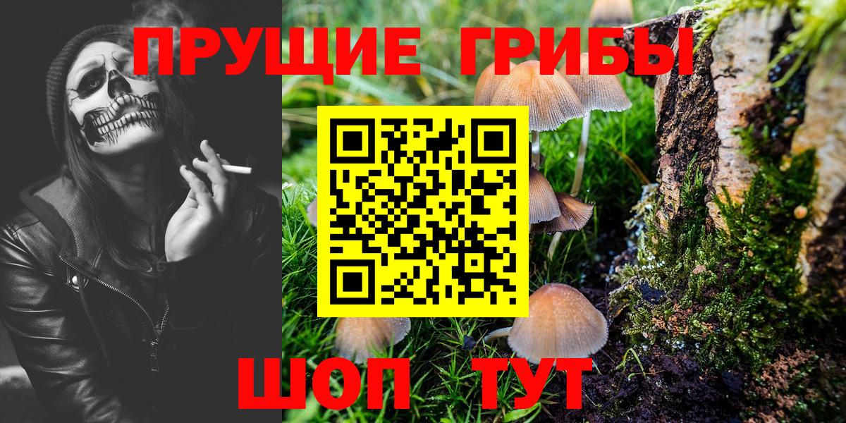 Псилоцибиновые грибы мухоморы Щёкино