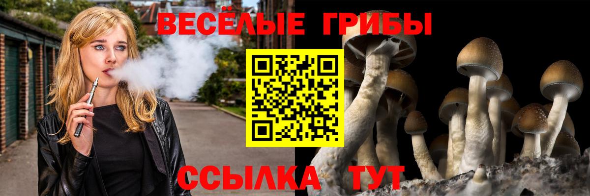 Галлюциногенные грибы ЛСД  Вход с VPN  Псилоцибиновые грибы мухоморы  где продают   Щёкино 